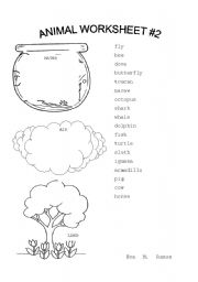 Animal Worksheet #2