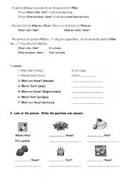 English worksheet: What is..? what are...?