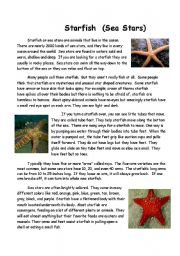 short essay on starfish