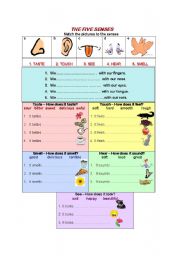 English Worksheet: The Five Senses