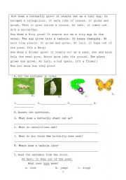 English Worksheet: Butterfly reading