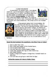 English Worksheet: Football- reading exercise