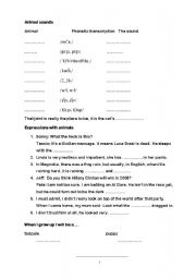 English Worksheet: Animal rights