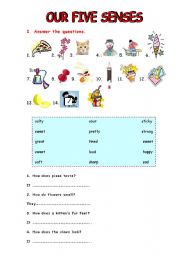 English Worksheet: Five Senses