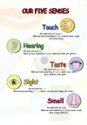 OUR FIVE SENSES