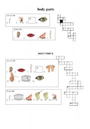English Worksheet: Body parts criss cross puzzles