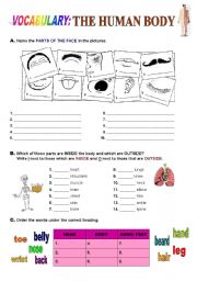 English Worksheet: The body