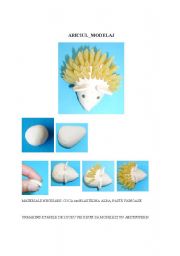 English Worksheet: hedgehog