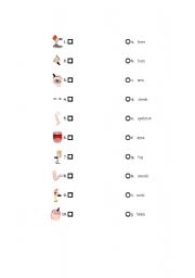 English Worksheet: parts of the body