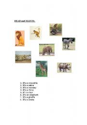 English worksheet: animals