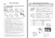 English Worksheet: test- wild animals