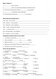 English Worksheet: (GS2) Which or What - too, also or either - do, does - action verbs - nothing, something, some