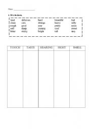 English worksheet: Five senses