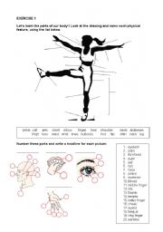 English Worksheet: Body parts