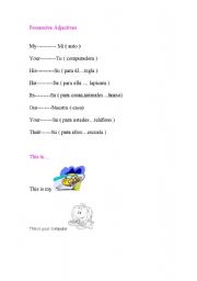 English worksheet: Possessive Adjectives