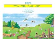 English Worksheet: Insects