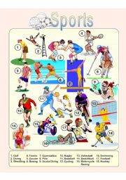 English Worksheet: Sports - Picture Dictionary