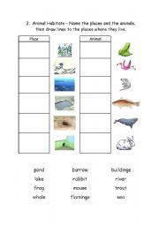 English Worksheet: Animal Habitats 2