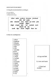 English Worksheet: body parts