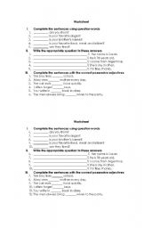 English worksheet: Question words and possessive adjectives