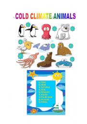 English Worksheet: COLD CLIMATE ANIMALS