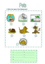 English Worksheet: Pets