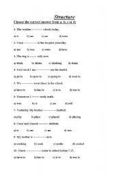 English worksheet: revision