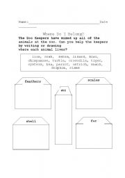 English worksheet: Animal Coverings