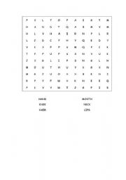 English Worksheet: Body part word search