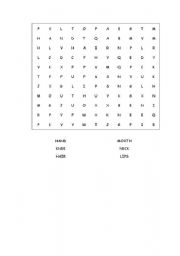 English worksheet: Body part word search