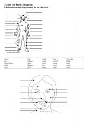 English worksheet: label the body