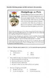 English Worksheet: Hedgehogs as Pets