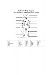English Worksheet: label of Body Parts