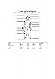 English worksheet: label of Body Parts