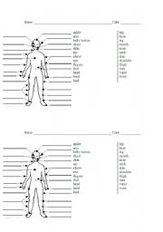 English Worksheet: Parts of the body