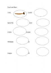 English Worksheet: animals body parts: leg, tail, head, ears