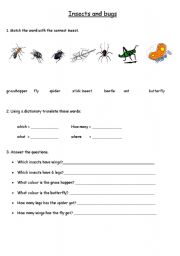 English worksheet: an introduction to question words using Insects learned in book 4 English Adventure