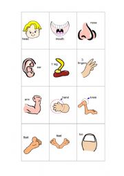 English Worksheet: BODY PARTS