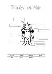 English worksheet: body parts