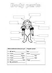 English Worksheet: body parts/plurals