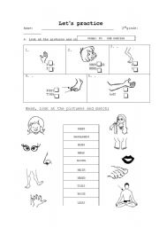 English worksheet: My body