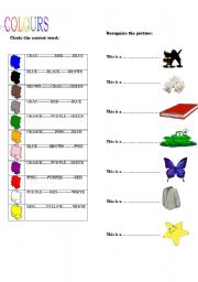 English Worksheet: colour