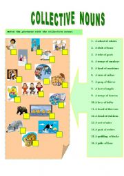 English Worksheet: COLLECTIVE NOUNS --- EXERCISES