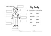 English worksheet: My body