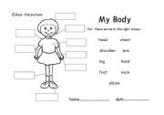 English worksheet: my body