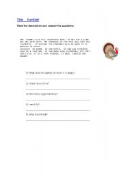 English Worksheet: THE TURKEY