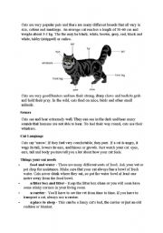 English Worksheet: Cats