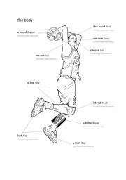 English worksheet: Body