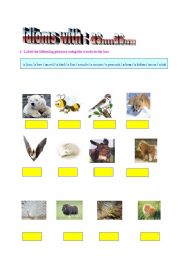 English Worksheet:  idioms with : as......as........