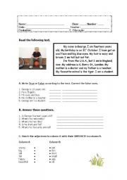 English Worksheet: Physical Description